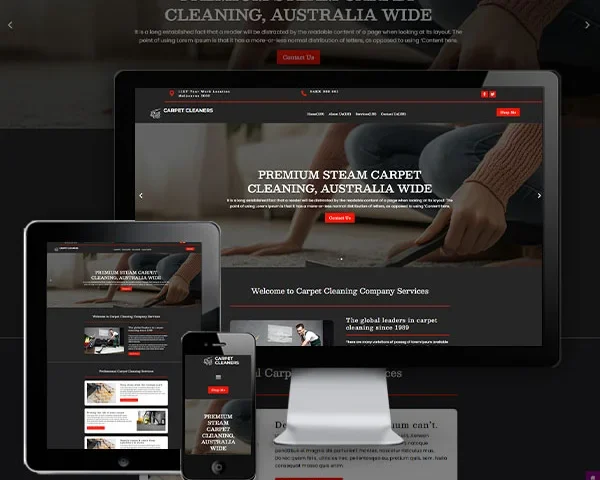 Carpet Cleaning Website (Best Seller - 2)