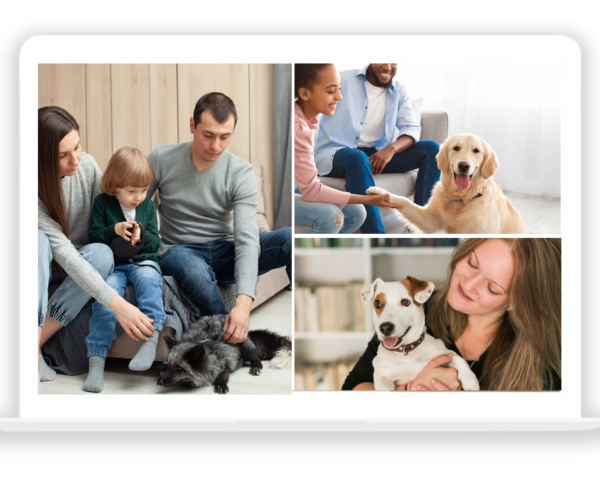 Pet Service