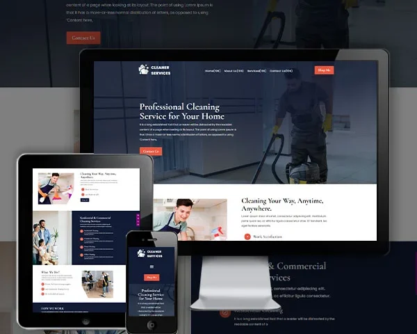 Cleaner Service Website (Style - 1)